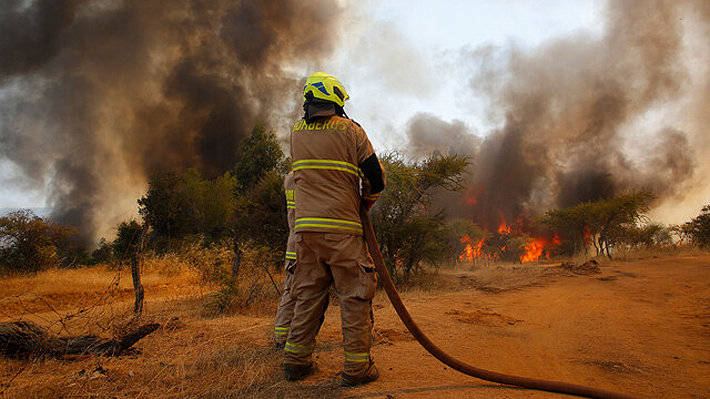 Cientos de personas fueron evacuadas tras incendio forestal en España