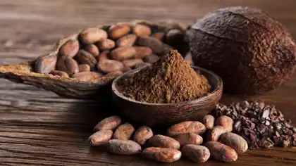 Banca y Negocios: Por baja producción Venezuela se pierde el “boom” de precios internacionales del cacao
